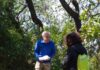 Vivara, hotspot di biodiversità entomologica: il CNR avvia uno studio sul ruolo funzionale degli insetti negli ecosistemi mediterranei