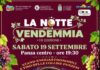 TORNA A ISCHIA (PANZA) LA NOTTE DELLA VENDEMMIA